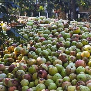 礼泉县爆料新闻最新,最新爆料揭示惊人真相  第1张